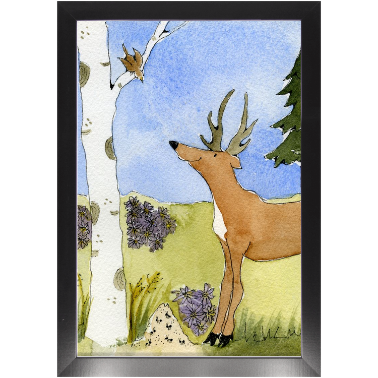 Antlers, Aspen, Ants and Alpine Asters Framed Print