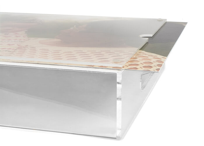 Acrylic Trays