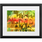 Autumn Woodvine Framed Print