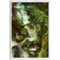 Forest Waterfall Framed Print