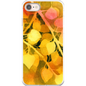 Golden Aspen  iPhone Case