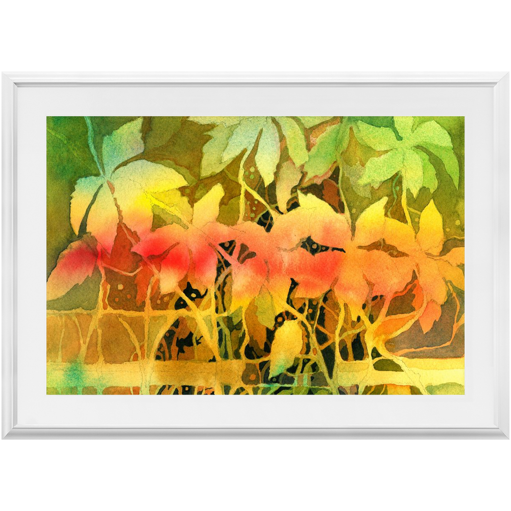 Autumn Woodvine Framed Print