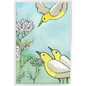 Yarrow and Yellow Birds Framed Print