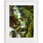 Forest Waterfall Framed Print