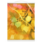 Golden Aspen Hanging Canvas Print