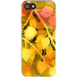 Golden Aspen  iPhone Case