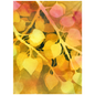 Golden Aspen Leaves Tapestry