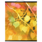 Golden Aspen Hanging Canvas Print