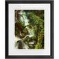 Forest Waterfall Framed Print