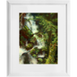 Forest Waterfall Framed Print