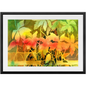 Autumn Woodvine Framed Print