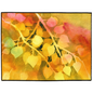 Golden Aspen Leaves Floor Mat