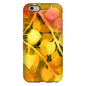 Golden Aspen  iPhone Case