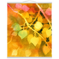 Golden Aspen Hanging Canvas Print