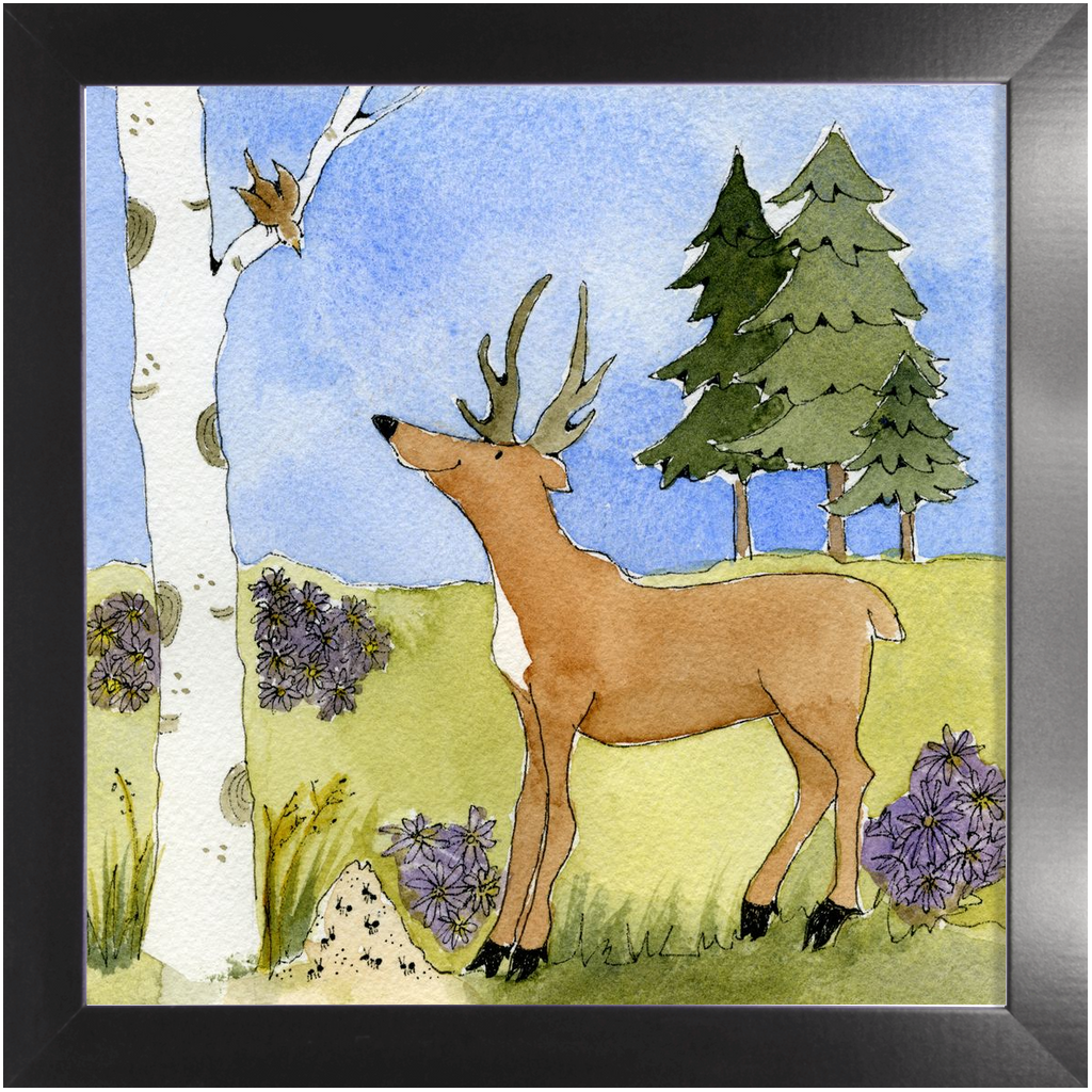 Antlers, Aspen, Ants and Alpine Asters Framed Print