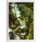 Forest Waterfall Framed Print