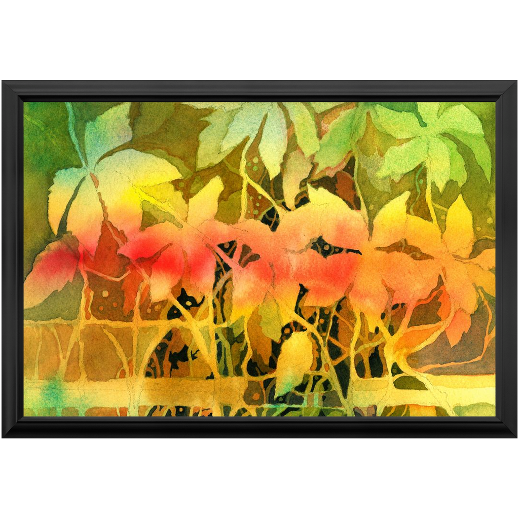 Autumn Woodvine Framed Print