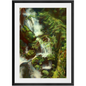 Forest Waterfall Framed Print