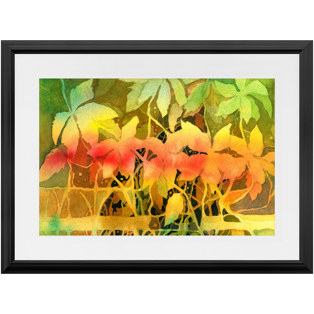 Autumn Woodvine Framed Print