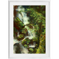 Forest Waterfall Framed Print