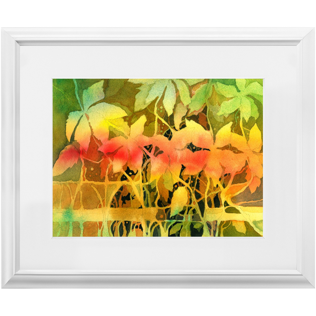 Autumn Woodvine Framed Print