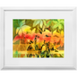 Autumn Woodvine Framed Print