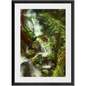 Forest Waterfall Framed Print