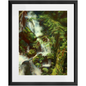 Forest Waterfall Framed Print