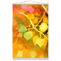 Golden Aspen Hanging Canvas Print