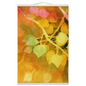 Golden Aspen Hanging Canvas Print