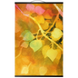 Golden Aspen Hanging Canvas Print